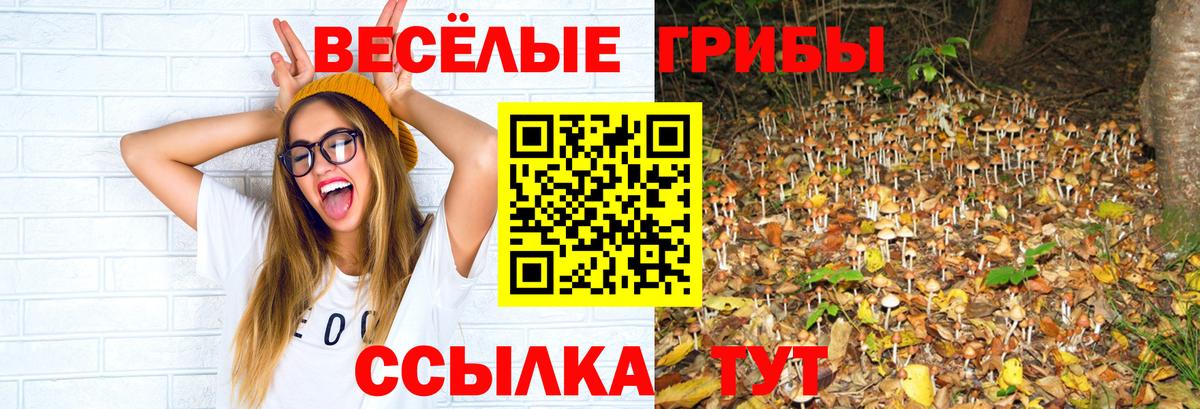 Алушта  Псилоцибиновые грибы Magic Shrooms  Галлюциногенные грибы мицелий  Вход с VPN 