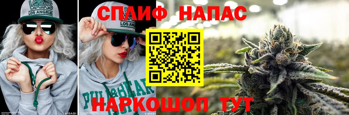 Конопля конопля Алушта